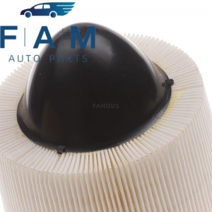 Engine Air Filter – Ford F5OY-9601-A Air Filter CA8039 F50X9601AB F50Y9601A