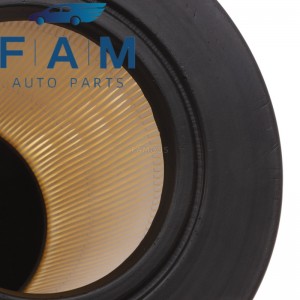 Engine Air Filter – Ford F5OY-9601-A Air Filter CA8039 F50X9601AB F50Y9601A
