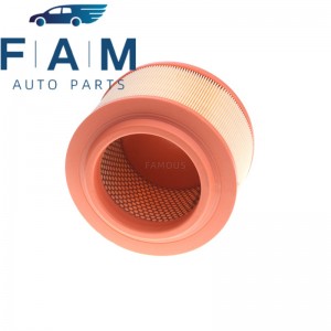 AB39-9601-AB AB399601AB Auto Engine Air Filter, for Ford Ranger 2.2L 3.2L 2011-2018