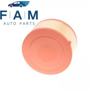 AB39-9601-AB AB399601AB Auto Engine Air Filter, for Ford Ranger 2.2L 3.2L 2011-2018